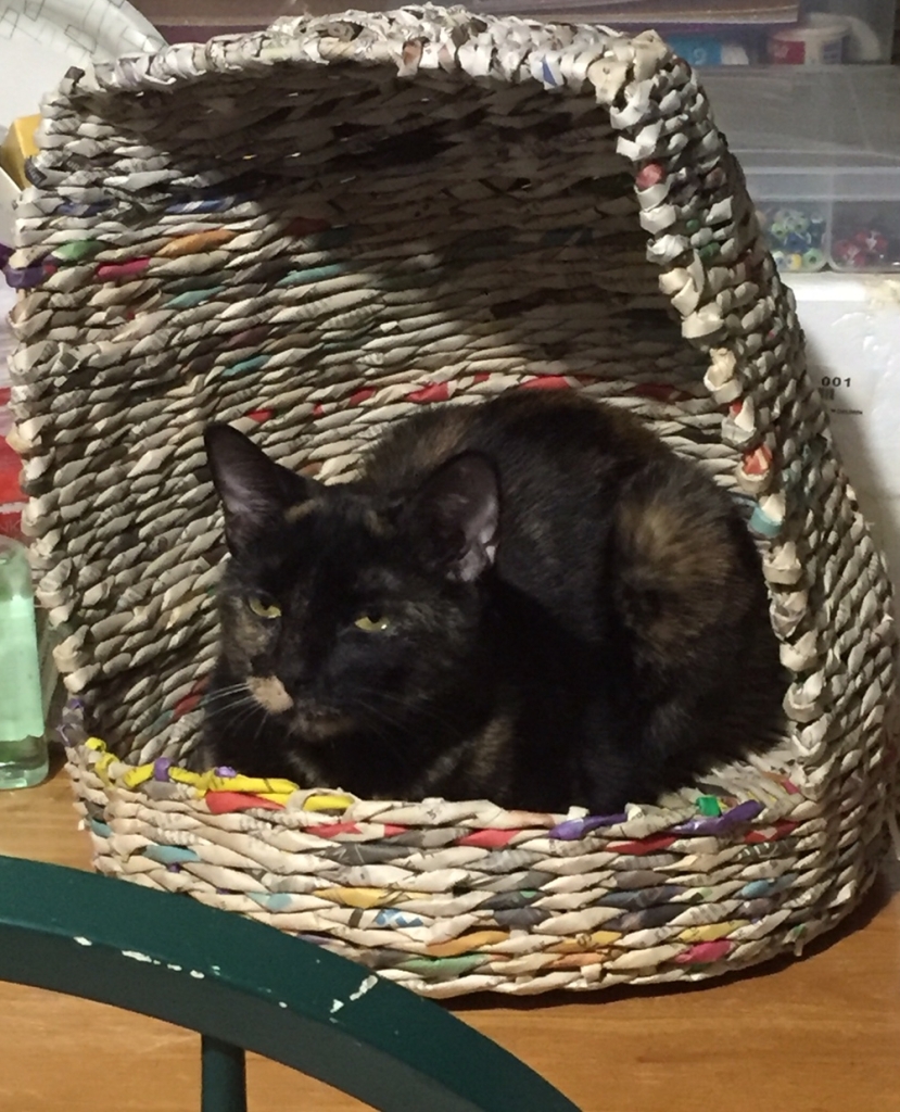 A dark tortoiseshell cat in loaf formation with eyes half closed, cozily settled inside a round bed with a flat-topped dome, made by weaving unpainted thin tubes of rolled up newsprint in the manner of rattan..